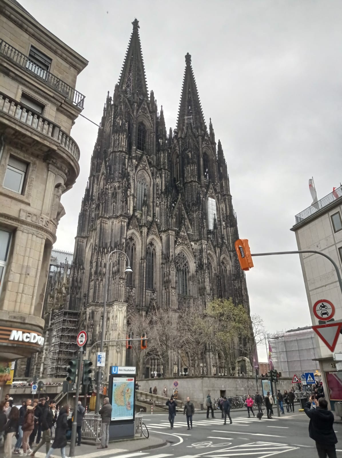 Cologne 43 