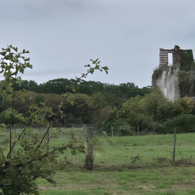 Img 20260829 wa0044