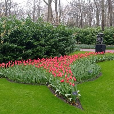 Keukenhof 10 