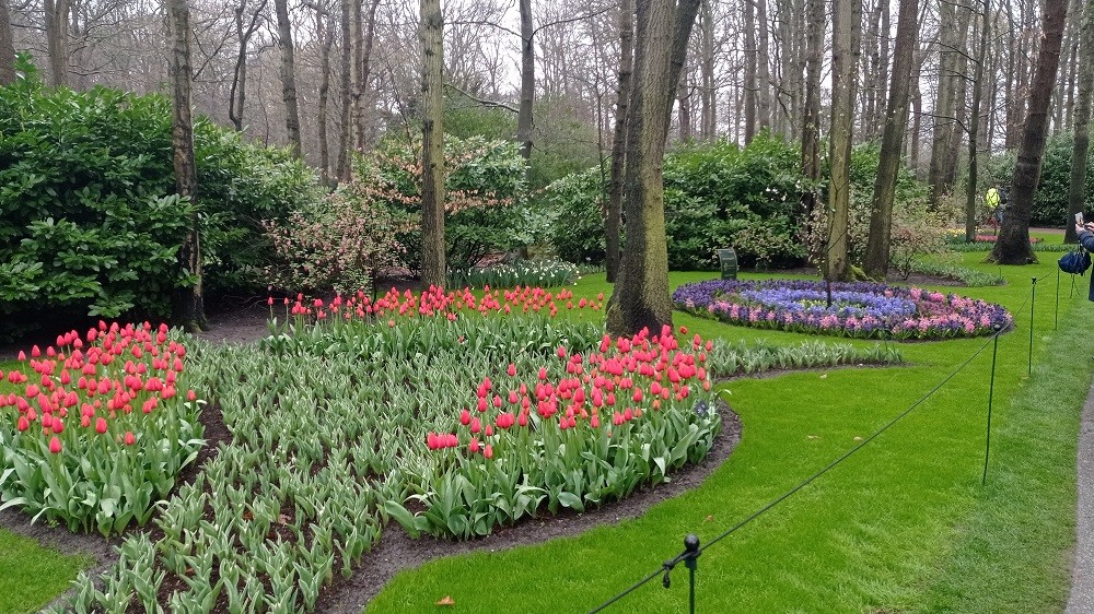 Keukenhof 11 