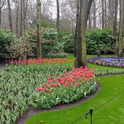 Keukenhof 11 