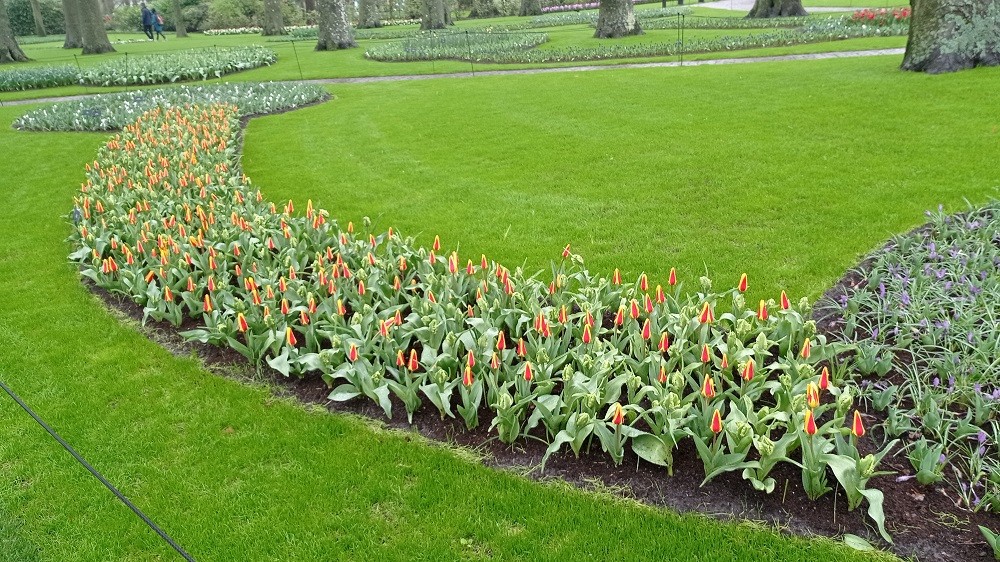 Keukenhof 14 