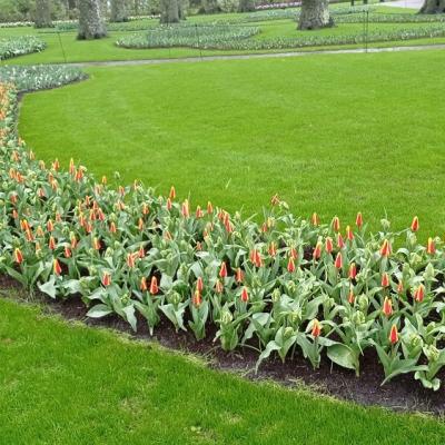 Keukenhof 14 