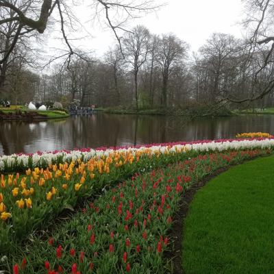 Keukenhof 36 