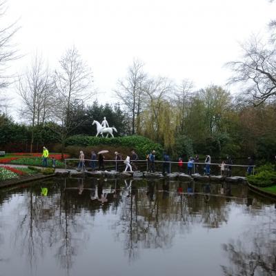 Keukenhof 37 