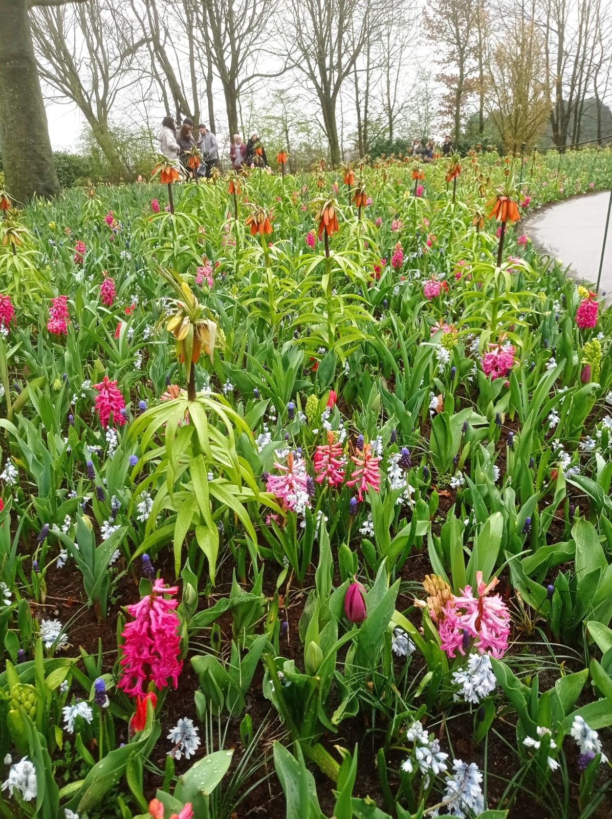 Keukenhof 47 