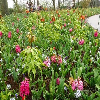 Keukenhof 47 