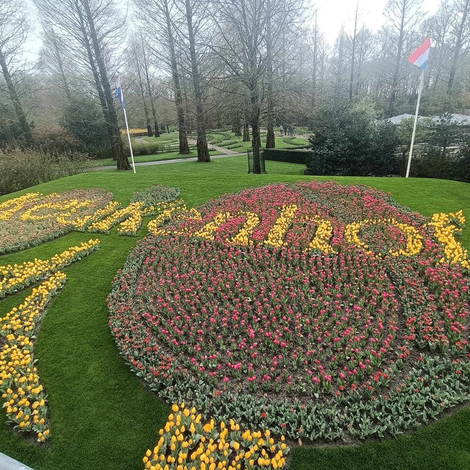 Keukenhof 50 