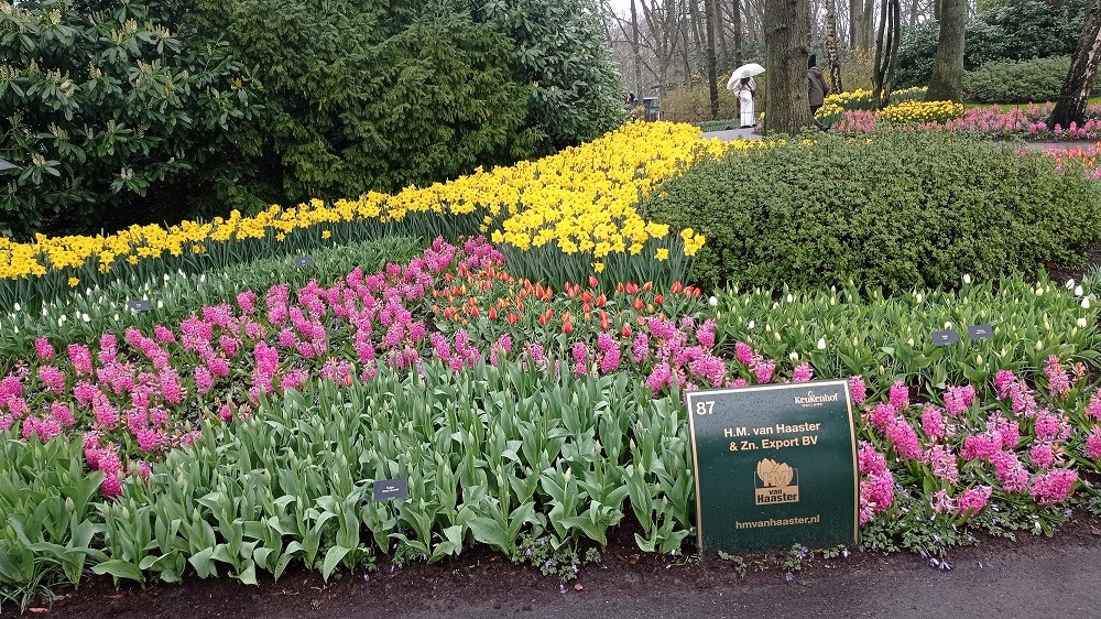 Keukenhof 9 