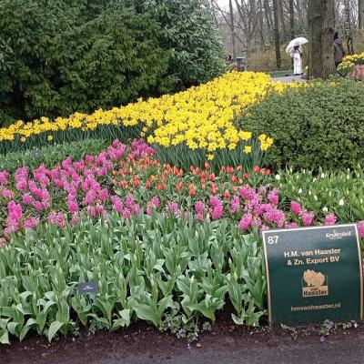 Keukenhof 9 